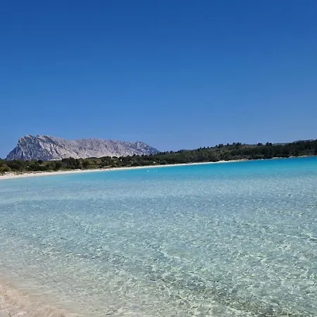 Vakantiehuis Casa Poseidon San Teodoro (Sardinia)