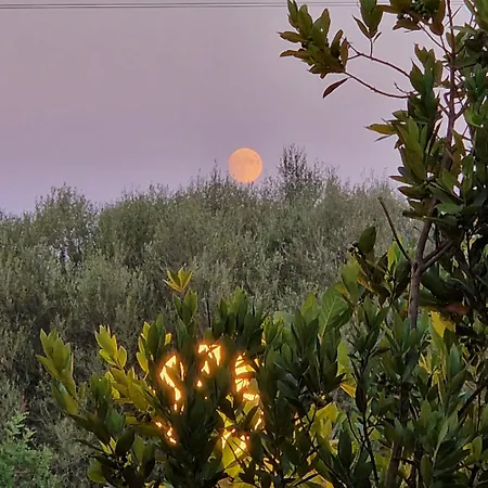 Casa Poseidon * San Teodoro (Sardinia)