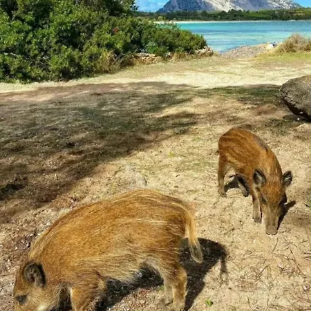 Casa Poseidon Dom wakacyjny